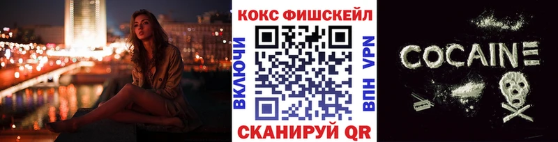 COCAIN Fish Scale  Купить  Катайск 